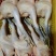 主营：肉鸭、掉白、土鸭、蛋鸭、花边、木鸭等鸡鸭鹅兔产品。