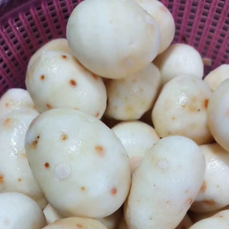 红芽芋子，去皮芋头仔，去皮毛芋