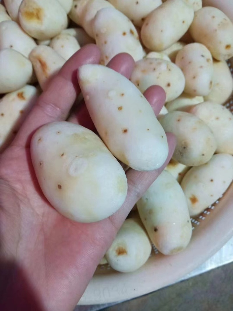 红芽芋子，去皮芋头仔，去皮毛芋