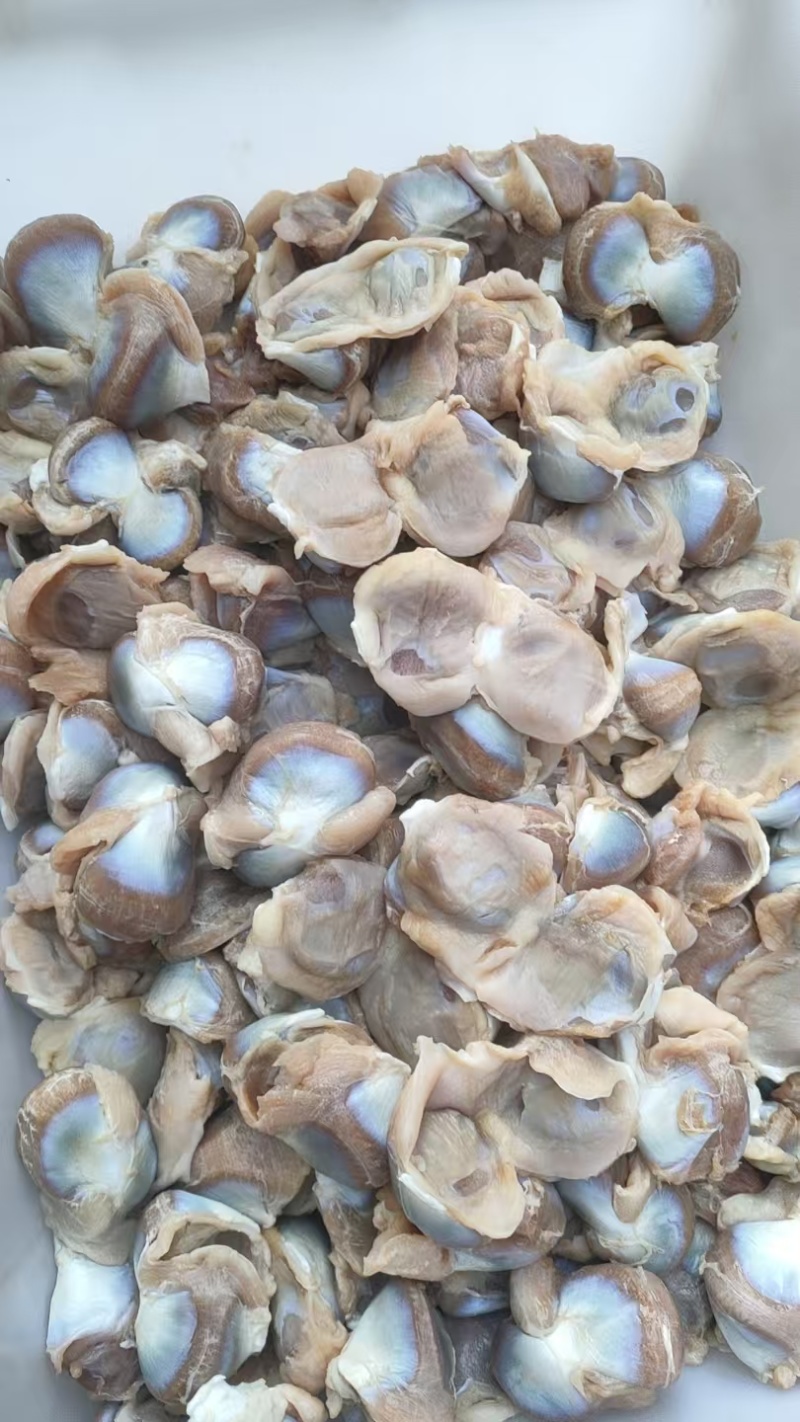 次一级麻鸭胗2吨