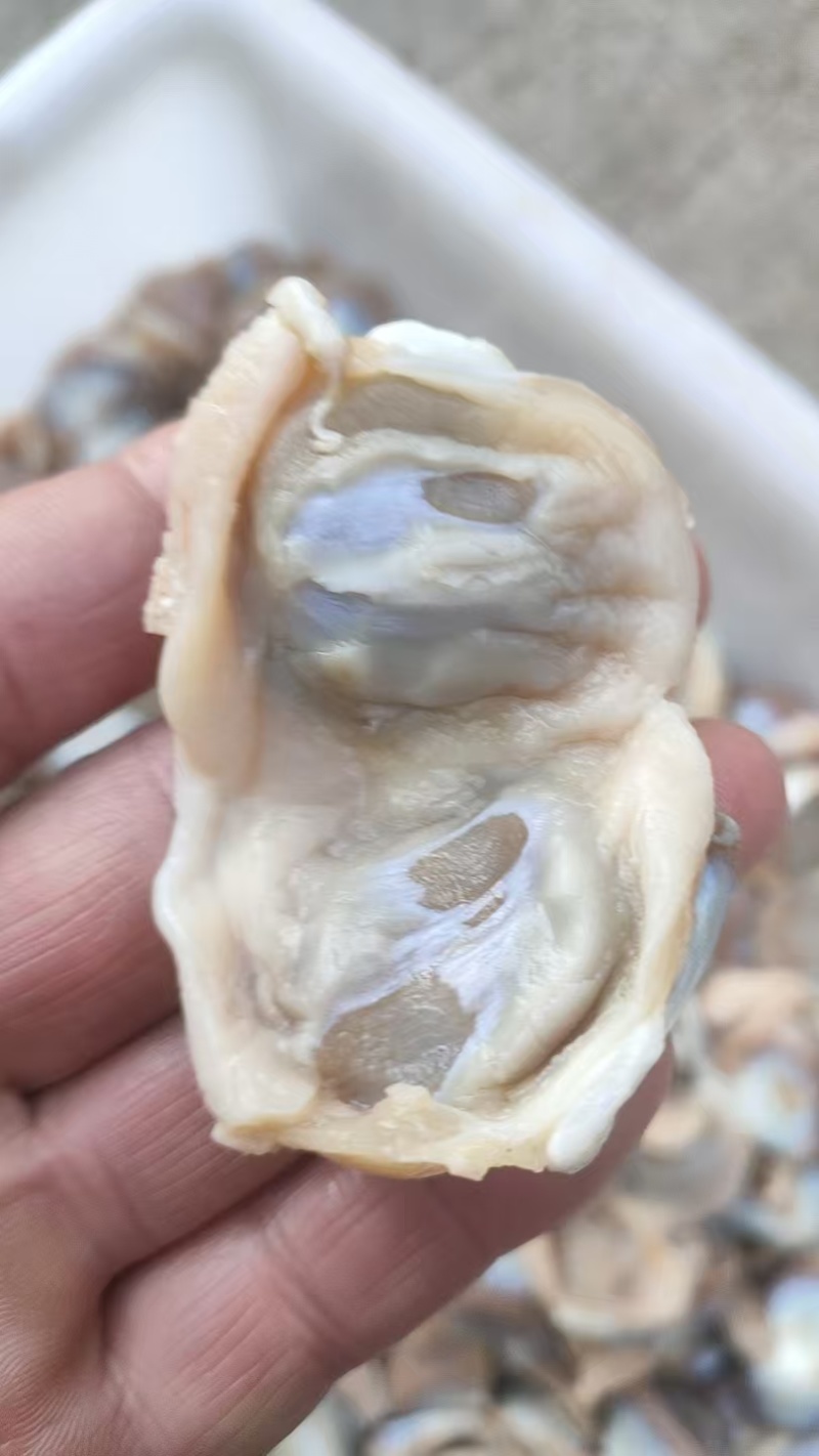 次一级麻鸭胗2吨