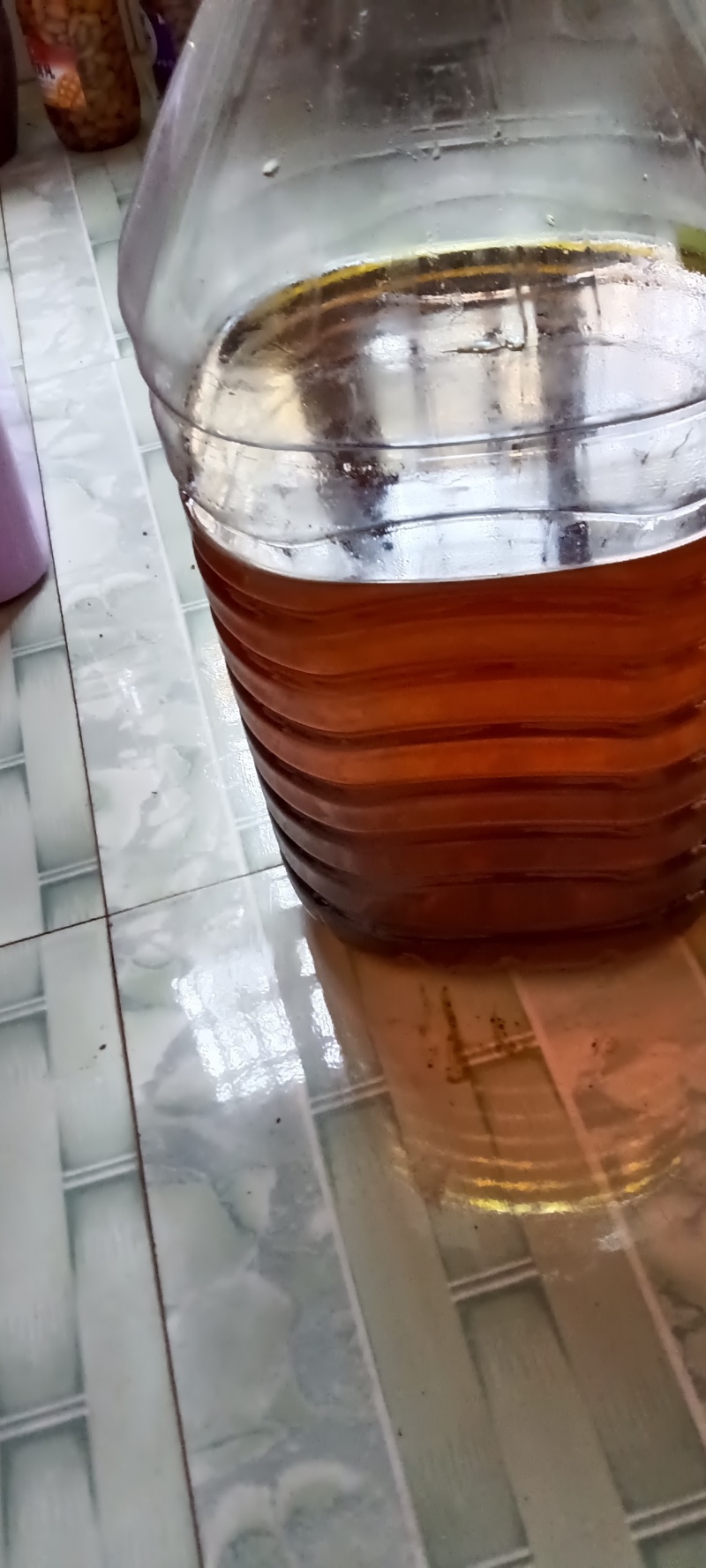 纯野生山茶油