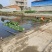 小香葱