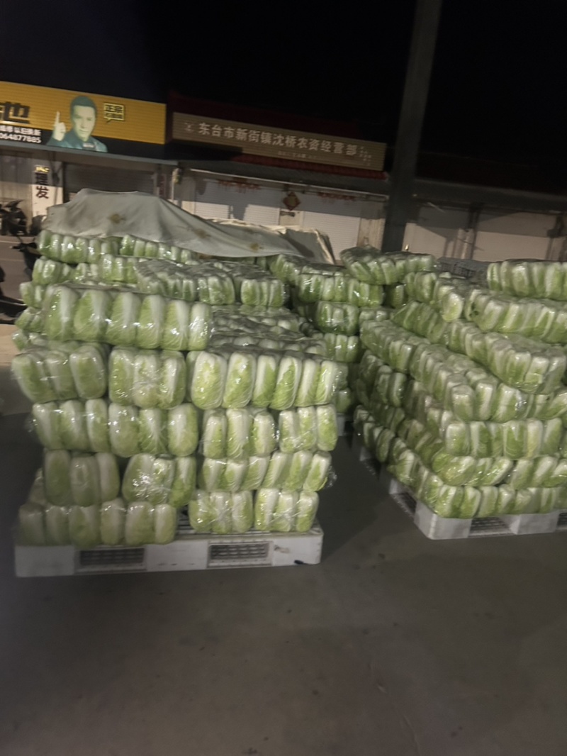 大娃娃菜