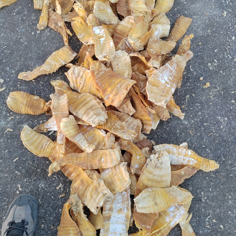 毛竹笋干大量批发