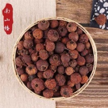 中药材山楂豆南山楂山里红小山楂豆批发供应