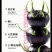 云南省文山市马关县红果参12月正式上市，欢迎采购。