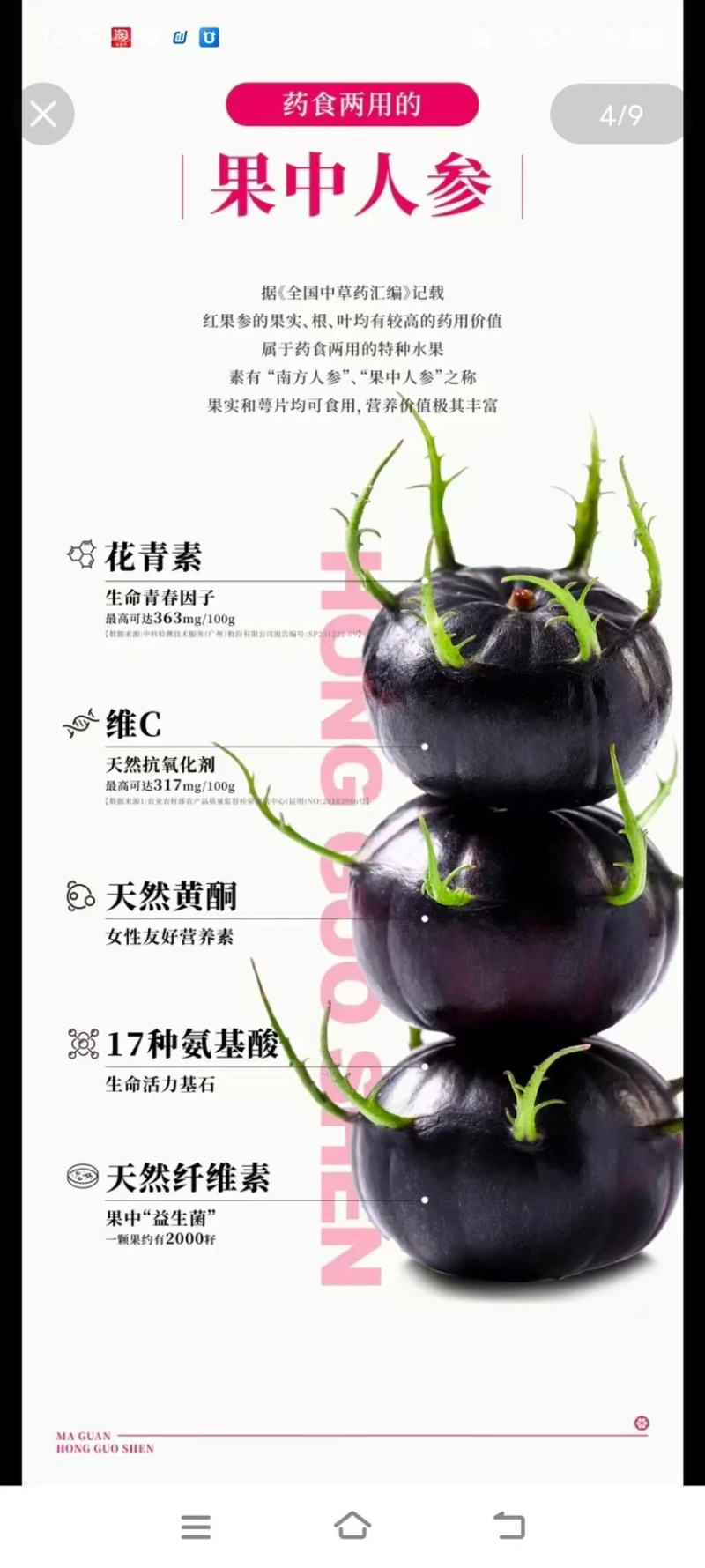 云南省文山市马关县红果参12月正式上市，欢迎采购。