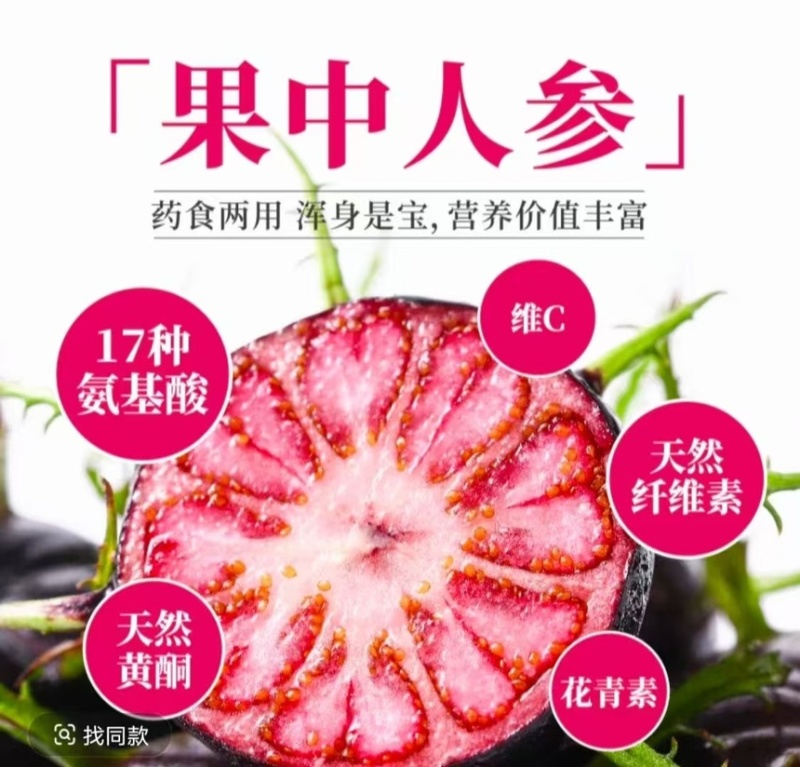 云南省文山市马关县红果参12月正式上市，欢迎采购。