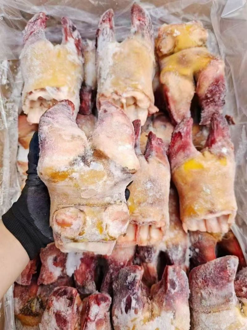 牛蹄掌