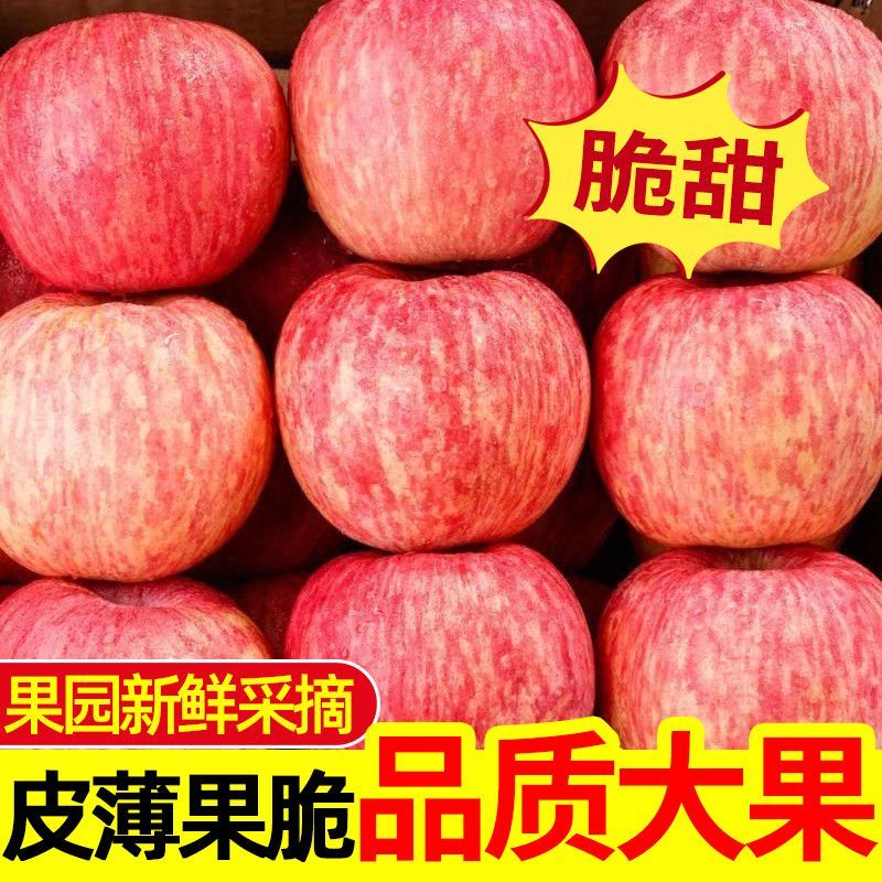 超甜红富士丑苹果水果新鲜脆甜冰糖心苹果整箱批发