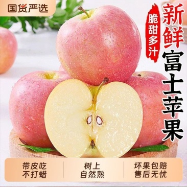 超甜红富士丑苹果水果新鲜脆甜冰糖心苹果整箱