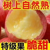 高山红富士苹果丑平当季新鲜水果脆甜冰糖心应季水果