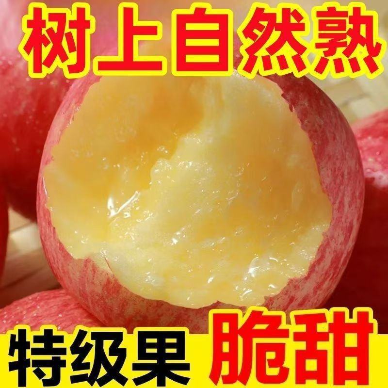 高山红富士苹果丑平当季新鲜水果脆甜冰糖心应季水果
