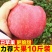陕西红富士丑苹果5/10斤冰糖心新鲜现摘
