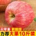 陕西红富士丑苹果5/10斤冰糖心新鲜现摘