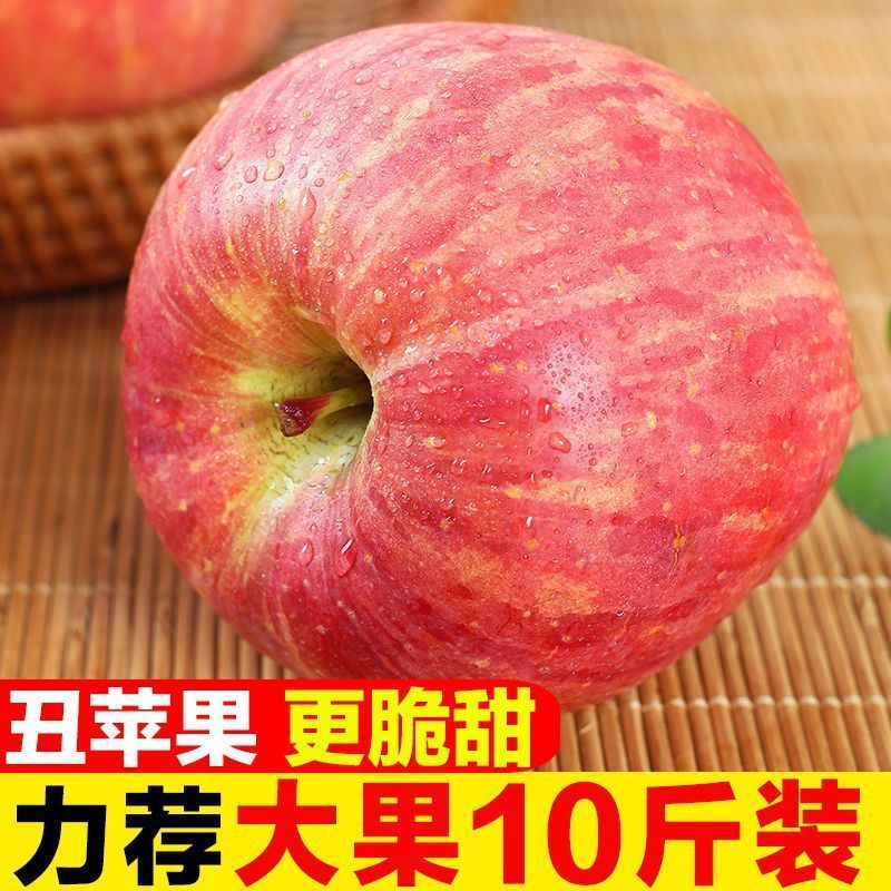 陕西红富士丑苹果5/10斤冰糖心新鲜现摘
