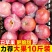 陕西红富士丑苹果5/10斤冰糖心新鲜现摘