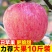 陕西红富士丑苹果5/10斤冰糖心新鲜现摘