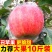 陕西红富士丑苹果5/10斤冰糖心新鲜现摘