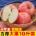 陕西红富士丑苹果5/10斤冰糖心新鲜现摘
