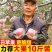 陕西红富士丑苹果5/10斤冰糖心新鲜现摘