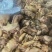 熟牛蹄无骨，火烧腿毛。品质好，价格美丽。