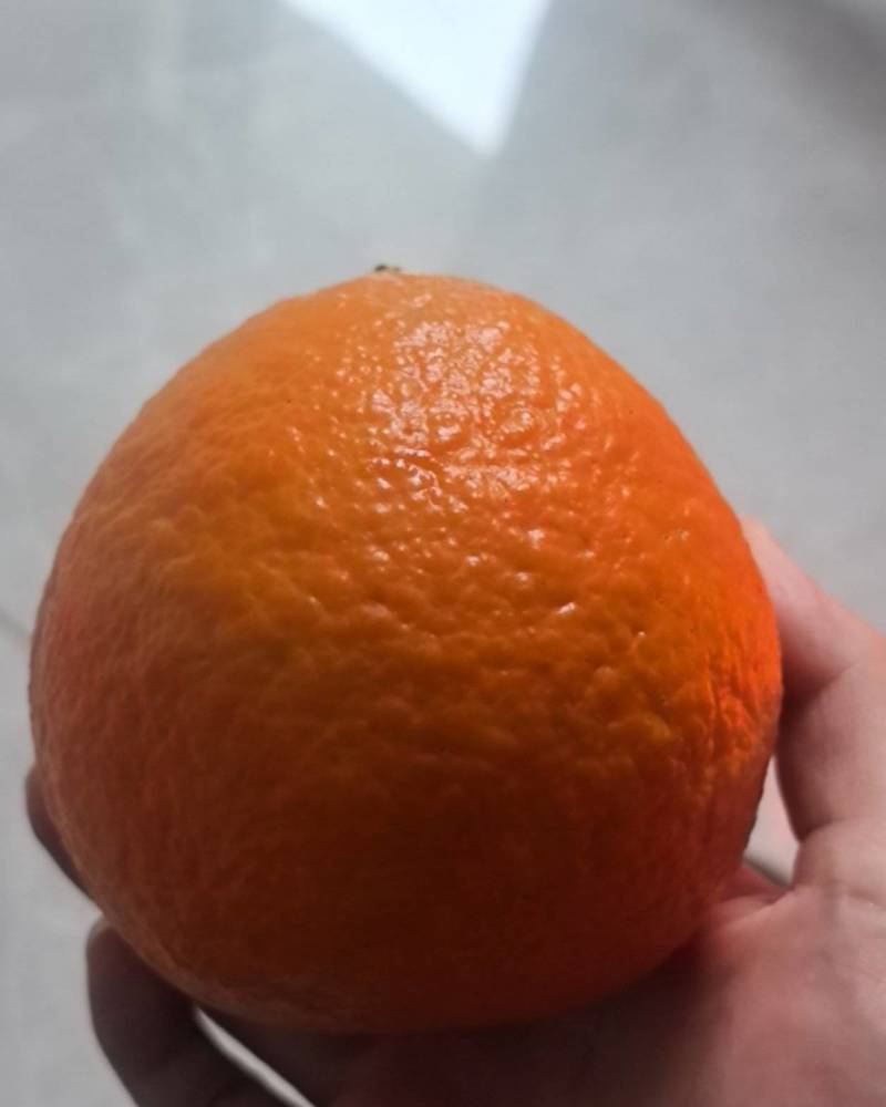 爱媛果冻橙