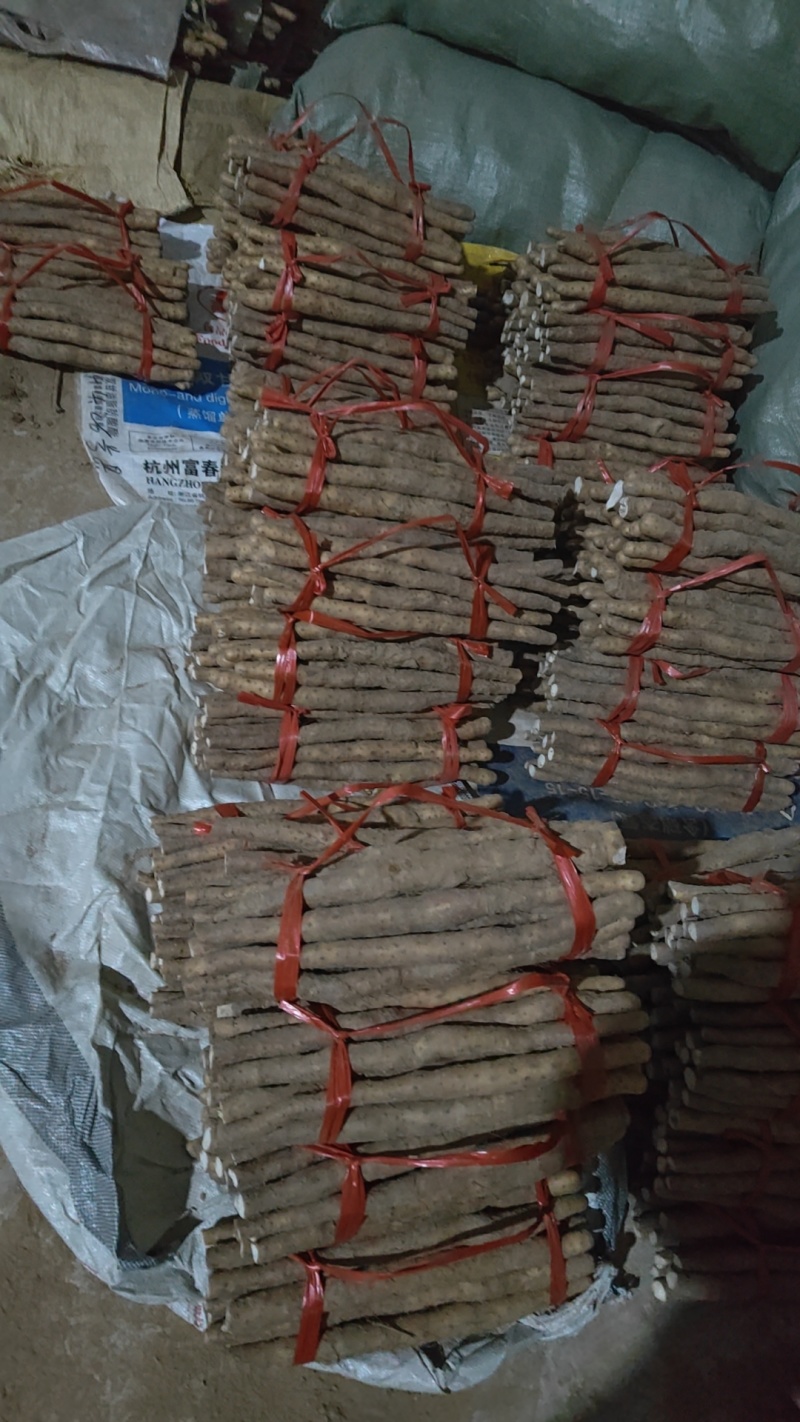 温县垆土地铁棍山药