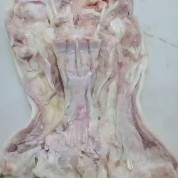 去骨生牛蹄