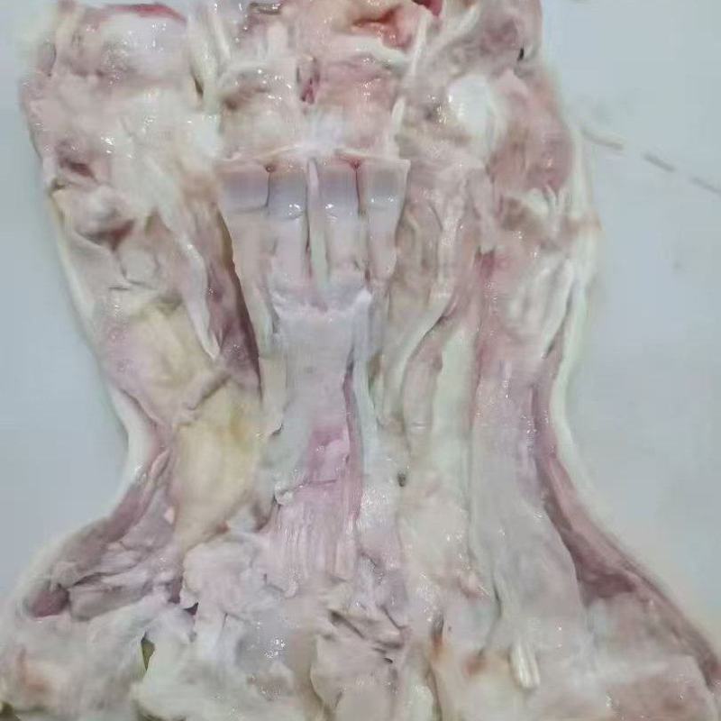 去骨生牛蹄