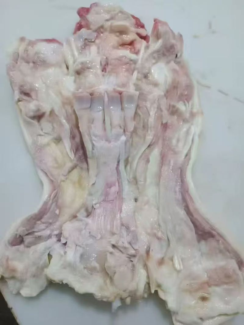 去骨生牛蹄