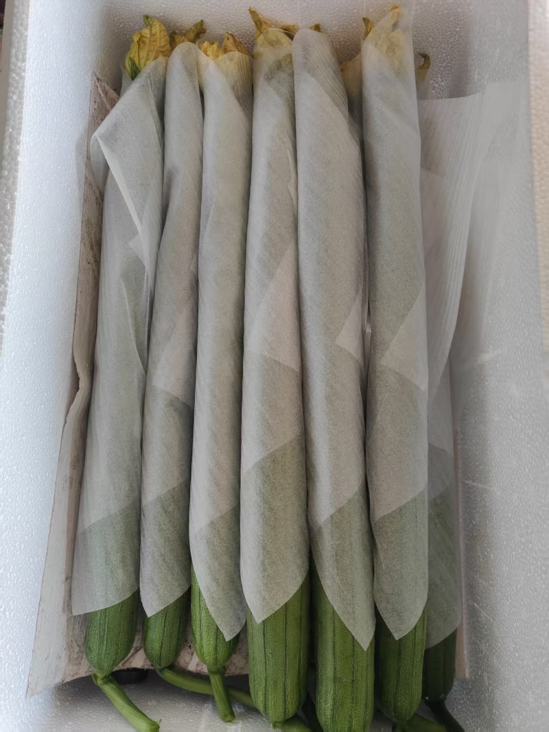 山东寿光鲜花丝瓜大量供应对接全国批发市场超市电商平台