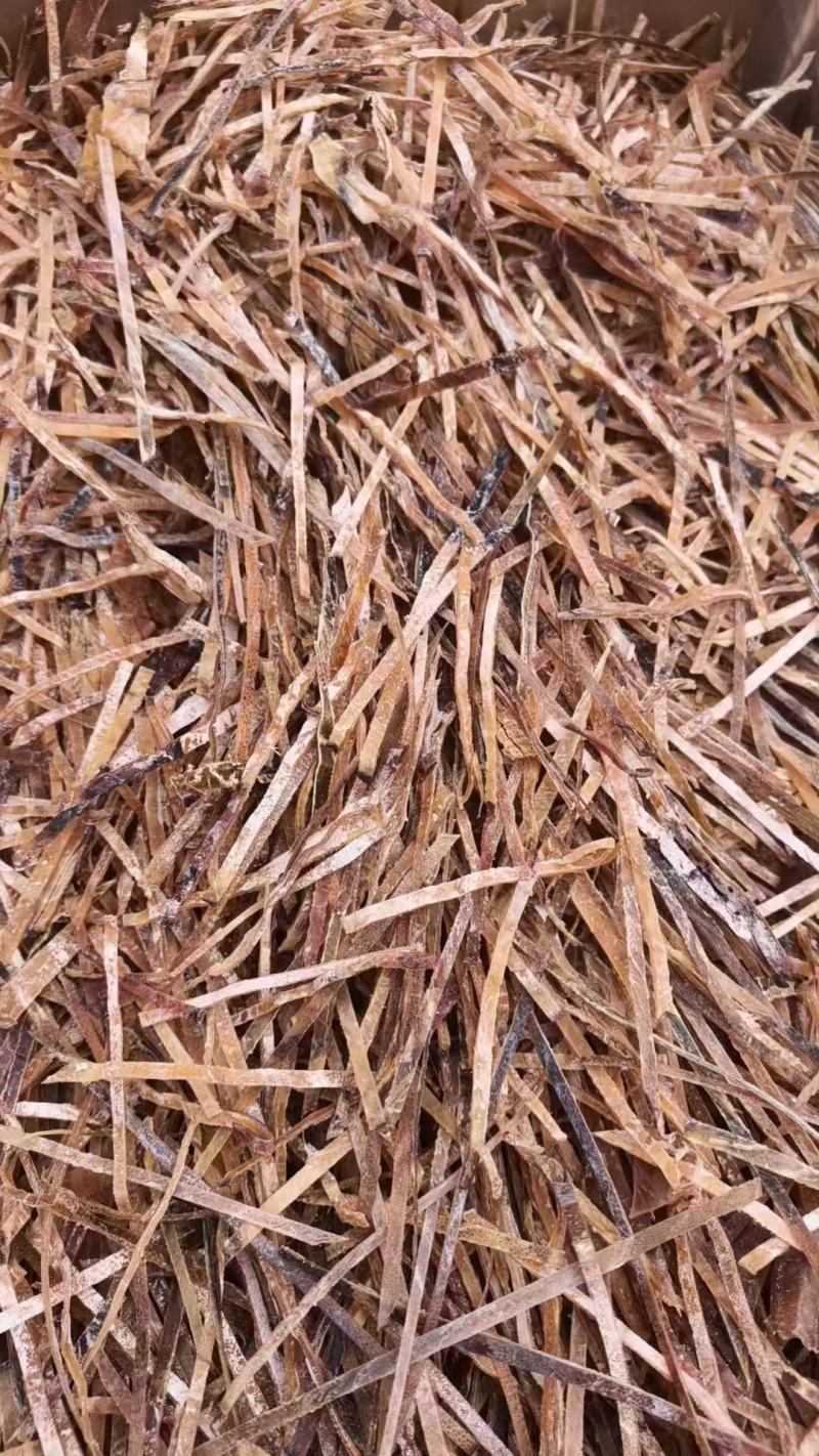 《精选》生晒鱿鱼丝鱿鱼条一手货源渔民自晒海鲜特产