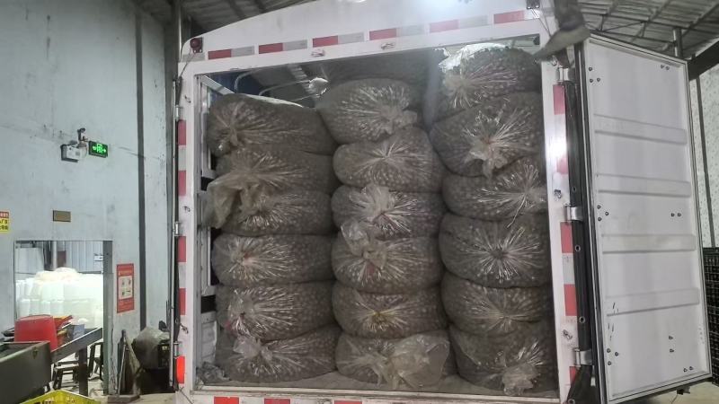 基地一手货源、桂林罗汉果，罗汉果、电商果、地摊果现货