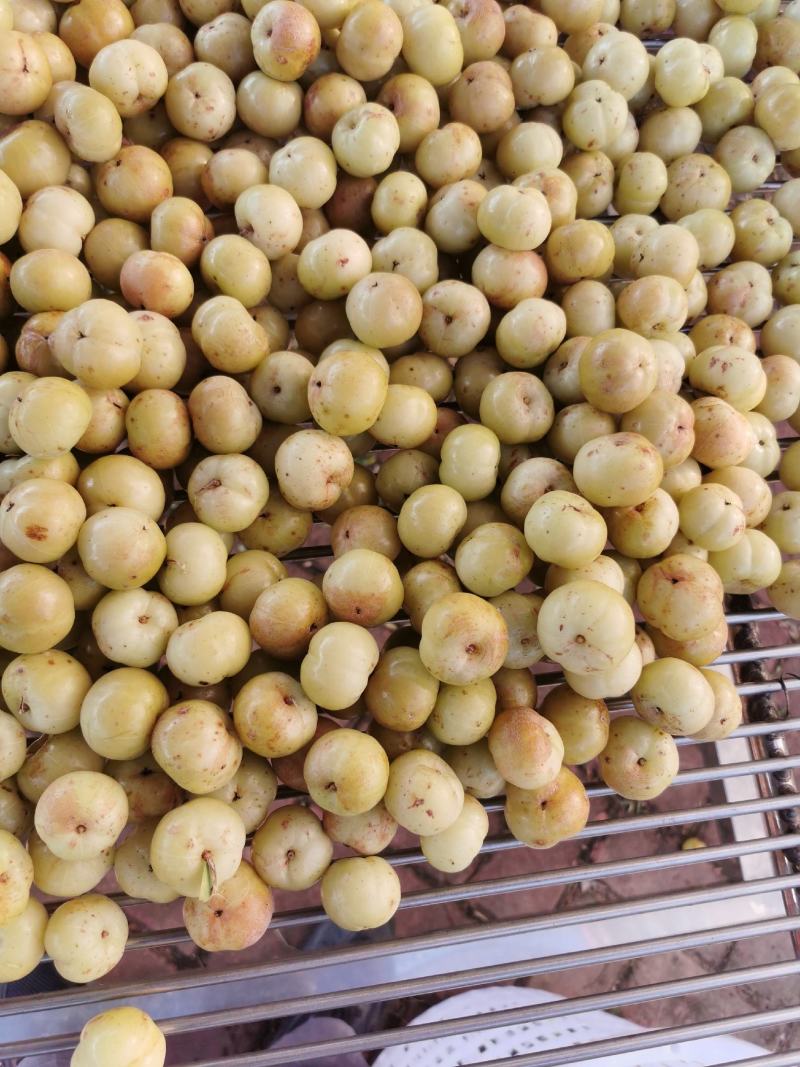 潮汕甜油甘，丙甜，大果，精品果，自有果园