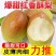 红香酥梨现摘发货头茬酥梨整箱批发源自砀山梨都香梨