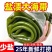 5斤新鲜整颗大海带包饭盐渍火锅凉拌菜批发