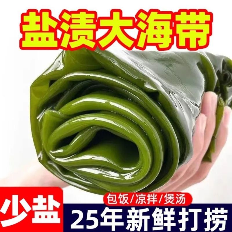 5斤新鲜整颗大海带包饭盐渍火锅凉拌菜批发