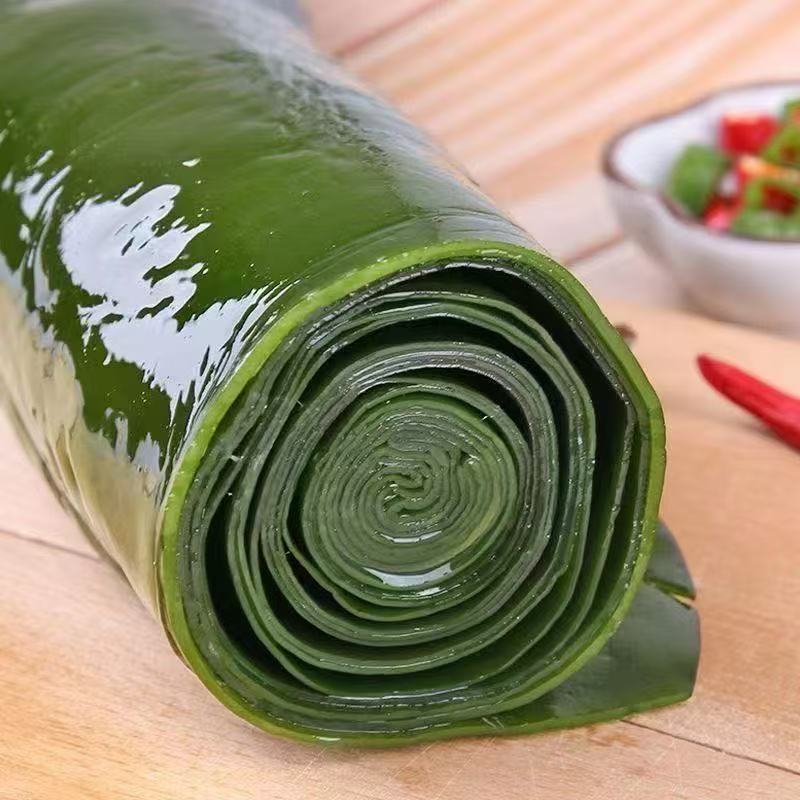 5斤新鲜整颗大海带包饭盐渍火锅凉拌菜批发