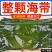 5斤新鲜整颗大海带包饭盐渍火锅凉拌菜批发