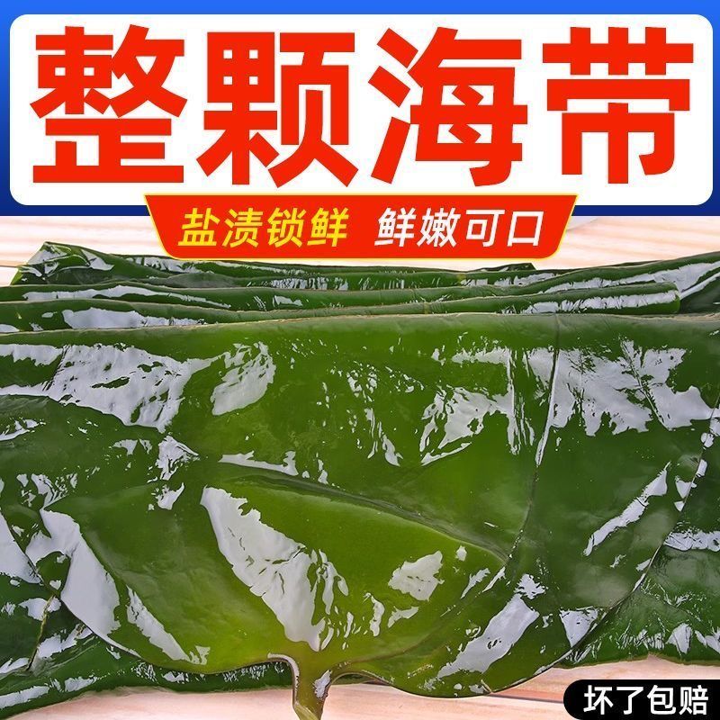 5斤新鲜整颗大海带包饭盐渍火锅凉拌菜批发