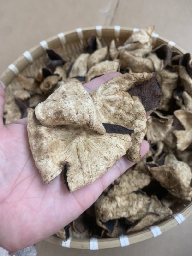 陈皮广东新会老陈皮5年到20年老陈皮源头