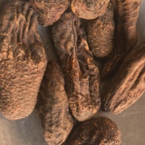 《肉苁蓉》大芸个大芸肉苁蓉新疆沙漠肉苁蓉选个