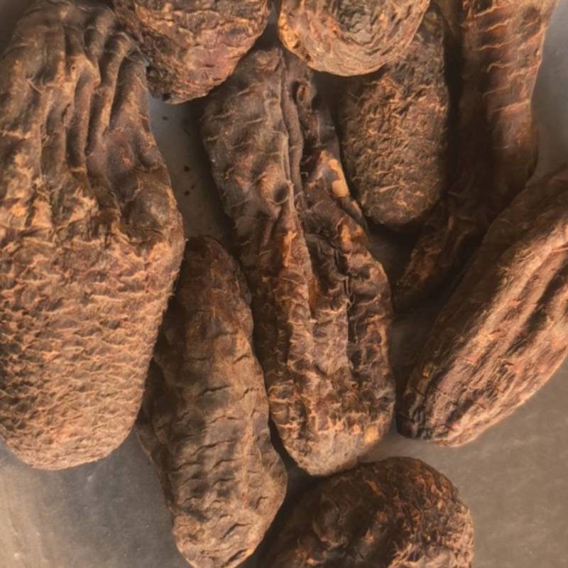 《肉苁蓉》大芸个大芸肉苁蓉新疆沙漠肉苁蓉选个