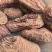 《肉苁蓉》大芸个大芸肉苁蓉新疆沙漠肉苁蓉选个