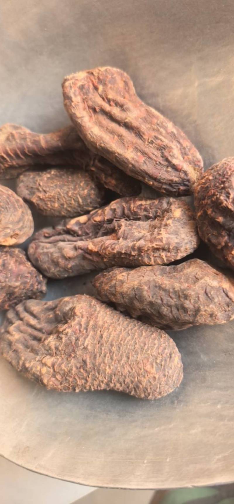《肉苁蓉》大芸个大芸肉苁蓉新疆沙漠肉苁蓉选个
