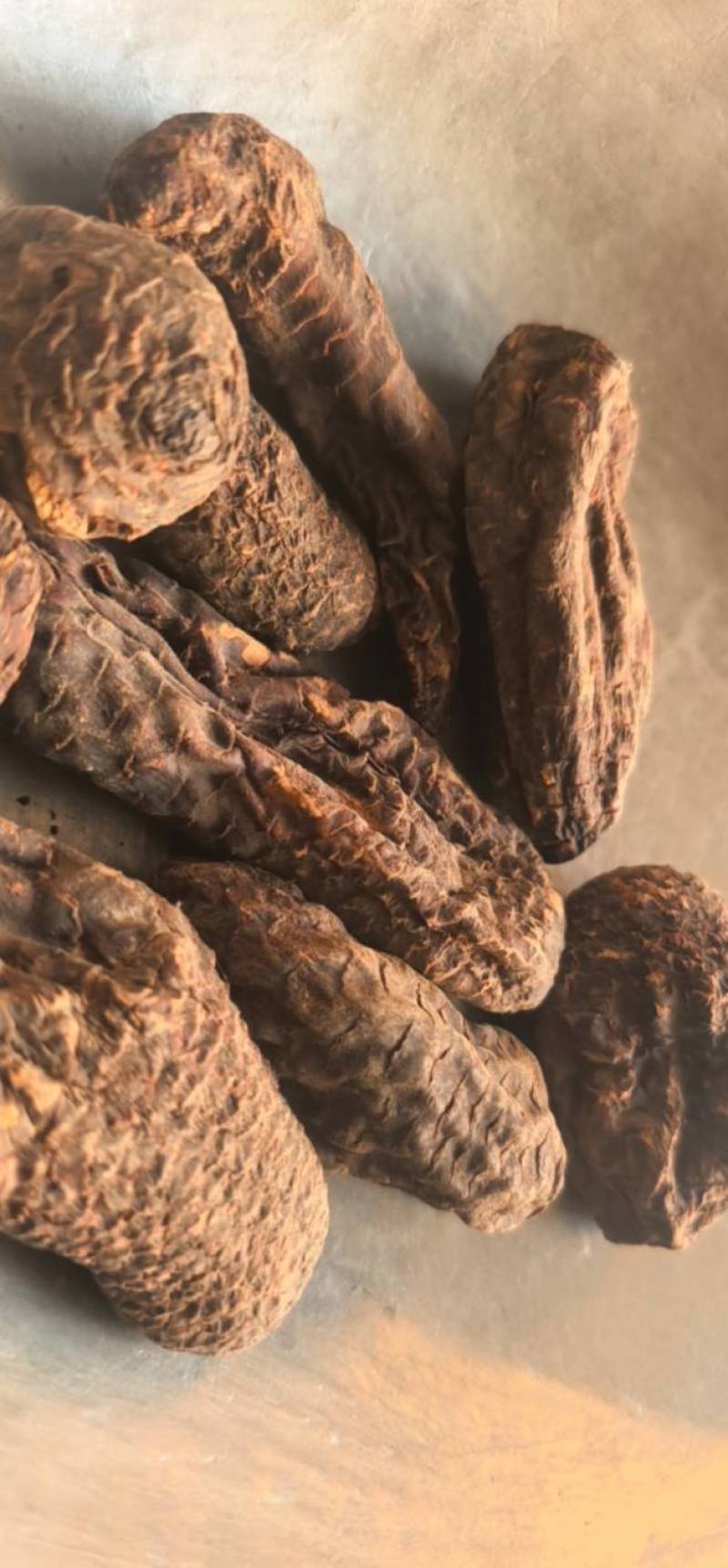 《肉苁蓉》大芸个大芸肉苁蓉新疆沙漠肉苁蓉选个