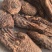 《肉苁蓉》大芸个大芸肉苁蓉新疆沙漠肉苁蓉选个