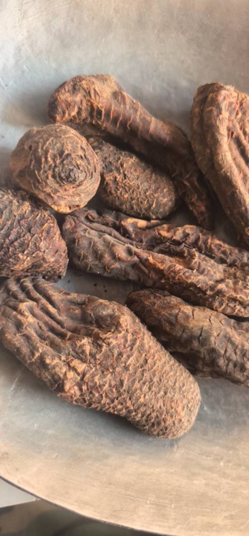 《肉苁蓉》大芸个大芸肉苁蓉新疆沙漠肉苁蓉选个